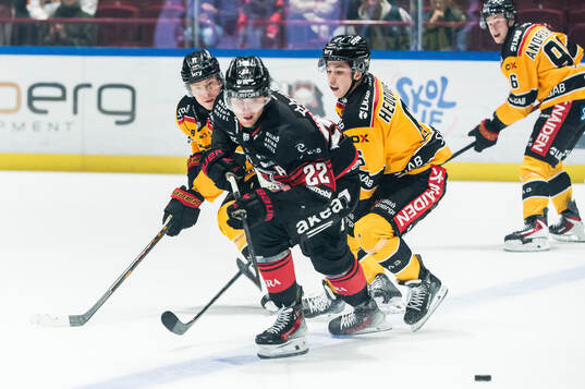 Malmö Redhawks Janne Kuokkanen och Luleås Erik Gustafsson