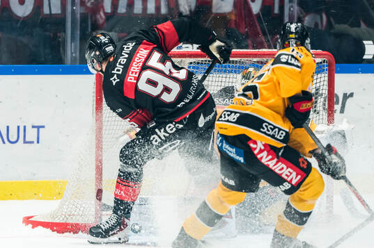 Malmö Redhawks Carl Persson i samband med ett bortdömt