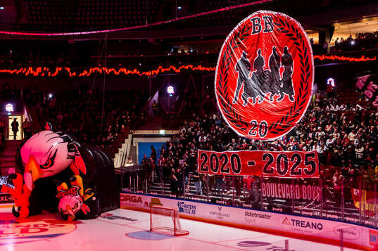 Malmö Redhawks supportrars tifo