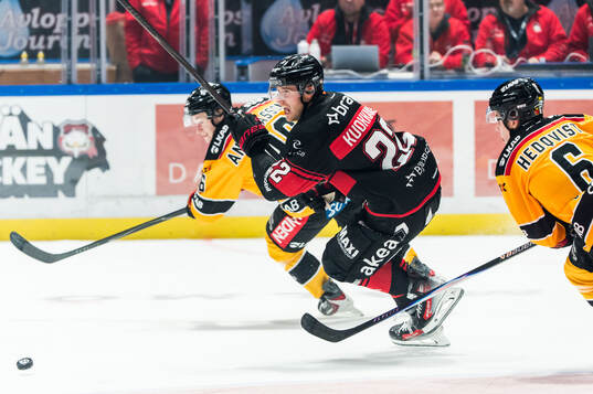 Malmö Redhawks Janne Kuokkanen och Luleås Isac Hedqvist