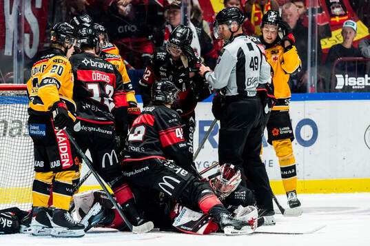 Malmö Redhawks målvakt Oskar Blomgren