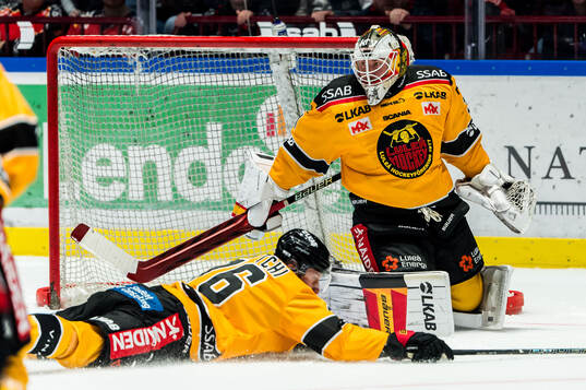 Luleås Anton Levtchi och målvakt Joel Lassinantti