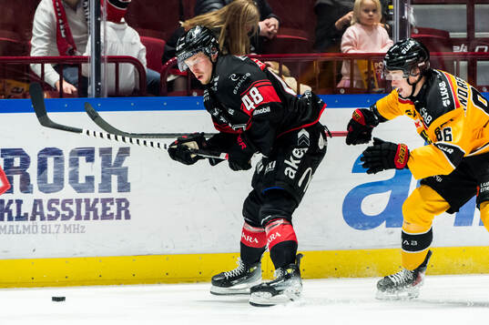 Malmö Redhawks Lauri Pajuniemi och Luleås Pontus