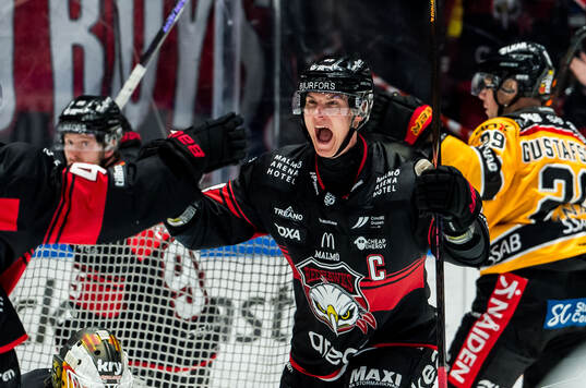 Malmö Redhawks Fredrik Händemark jublar