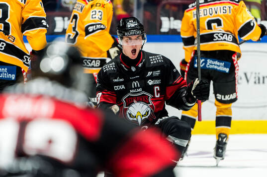 Malmö Redhawks Fredrik Händemark jublar