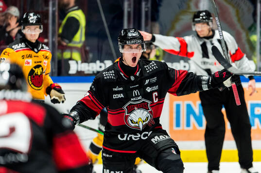 Malmö Redhawks Fredrik Händemark jublar