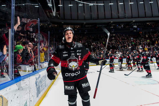 Malmö Redhawks Fredrik Händemark jublar