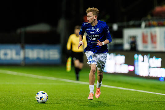 Trelleborgs Karl Wendt