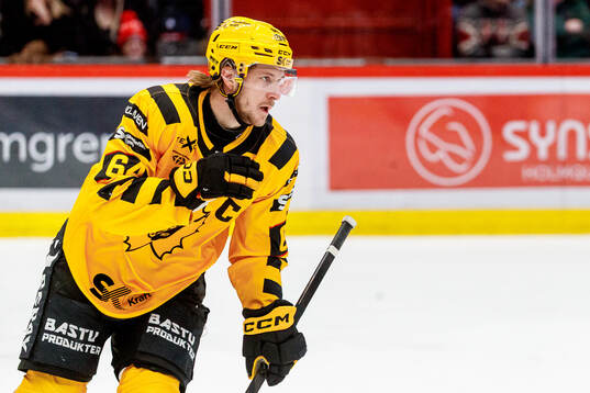 Skellefteås Jonathan Pudas jublar