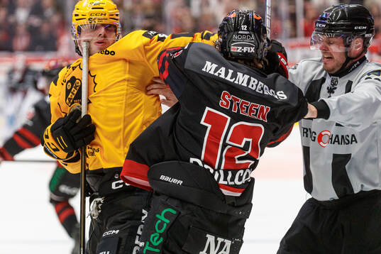 Skellefteås Max Krogdahl och Örebros Noah Steen