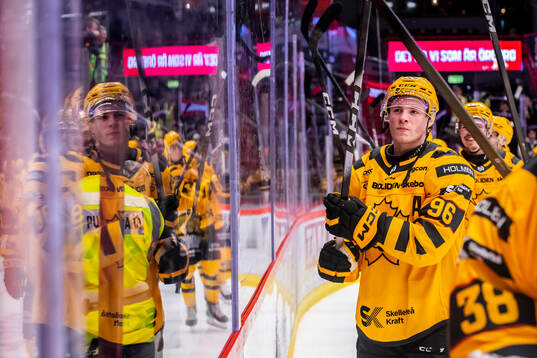 Skellefteås Rickard Hugg jublar