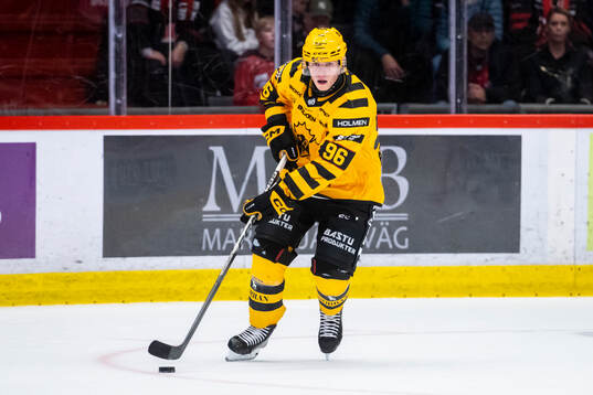 Skellefteås Rickard Hugg