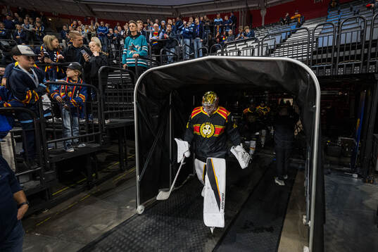 Brynäs målvakt Damian Clara