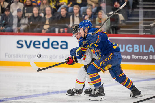 Brynäs Mattias Norlinder och Djurgårdens Charles Hudon