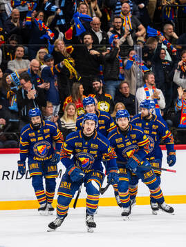under ishockeymatchen i SHL mellan Djurgården och Brynäs