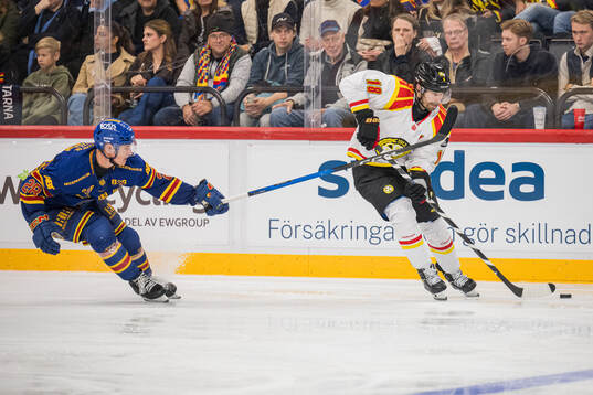 Djurgårdens Gustav Lindström och Brynäs Anton Rödin