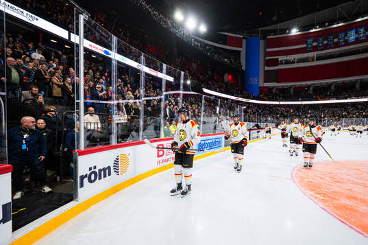 Brynäs spelare deppar