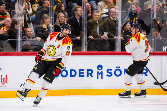 Brynäs Anton Rödin