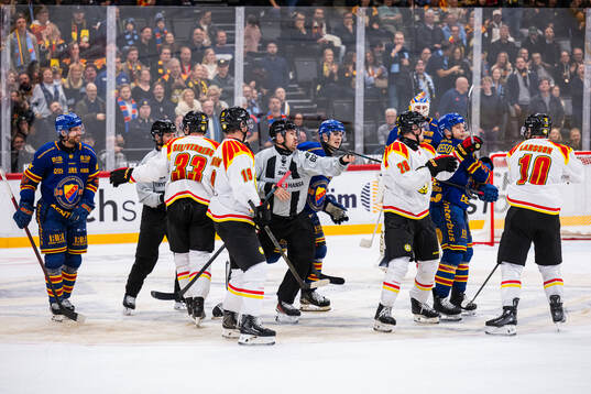 Brynäs och Djurgårdens spelare i slutet av