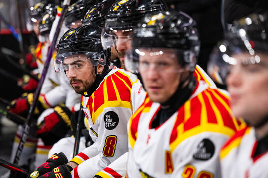 Brynäs Bobby Trivigno