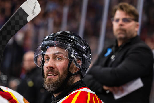Brynäs Johan Larsson