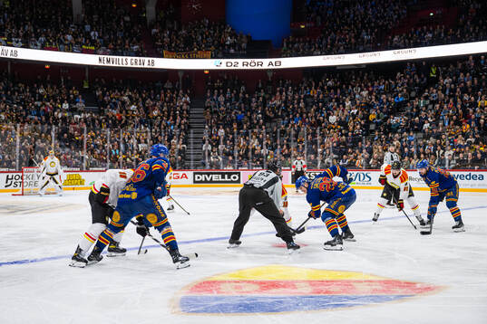 Brynäs och Djurgårdens spelare