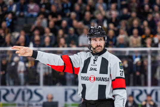 Domare Mikael Sjöqvist