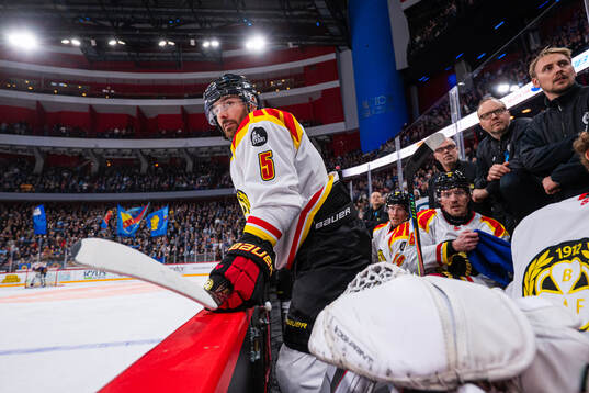 Brynäs Michal Kempny