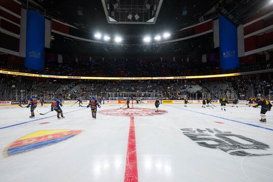 Djurgårdens och Brynäs spelare