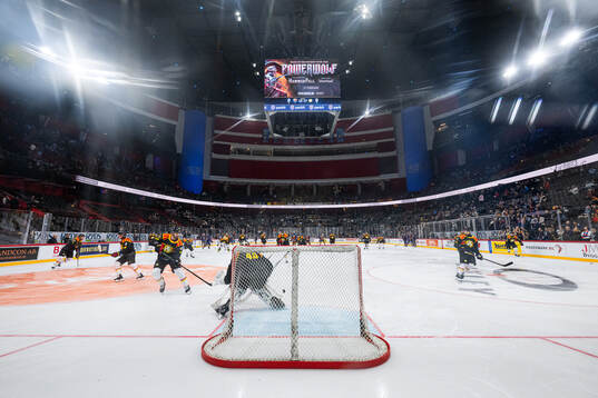 Brynäs spelare