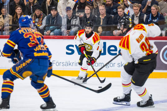 Brynäs Bobby Trivigno