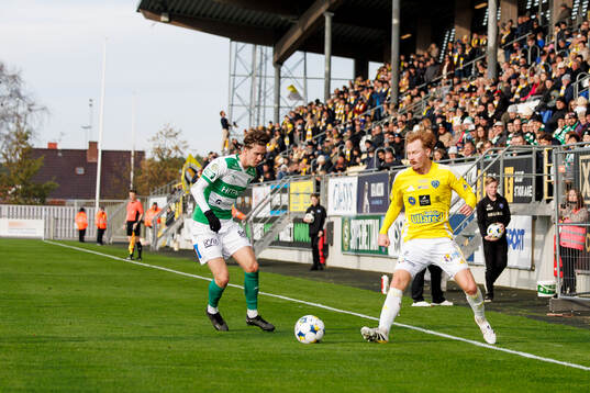 Falkenbergs Linus Borgström