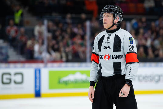 Domare Mikael Holm