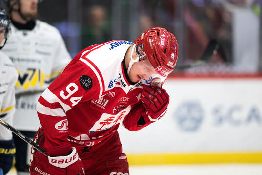 Timrås Sebastian Hartmann