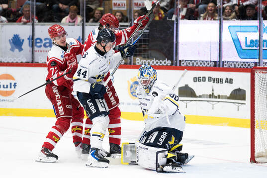 HV71s målvakt Lassi Lehtinen, Timrås Erik Walli