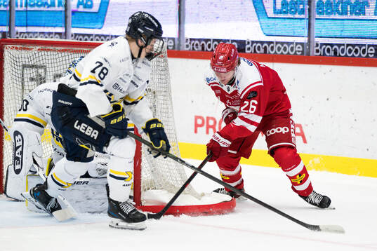 Timrås Anton Heikkinen