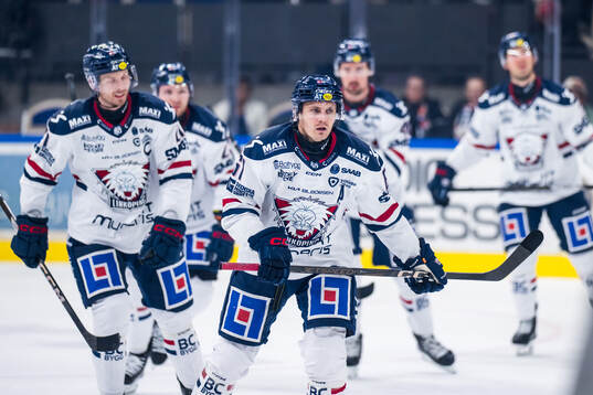 Linköpings Markus Ljungh jublar