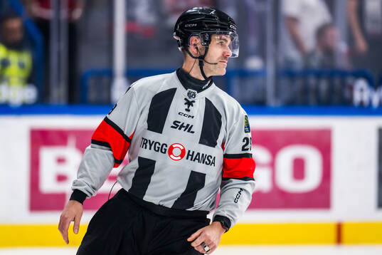 Domare Richard Magnusson