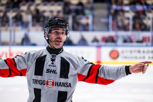 Domare Richard Magnusson