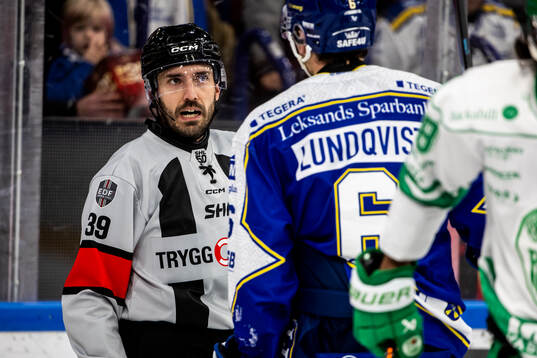 Domare Mattias Enroth
