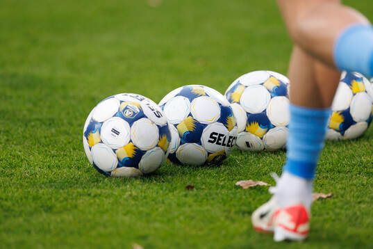 Fotbollar