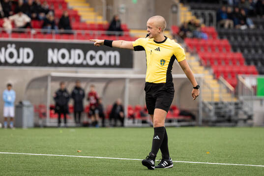Domare Oscar Lundegrén