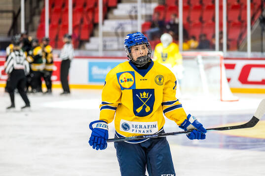 Dalarnas Anna-Maj Norling deppar