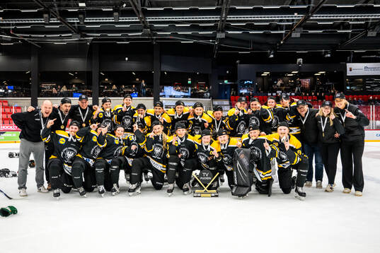 Värmlands spelare jublar