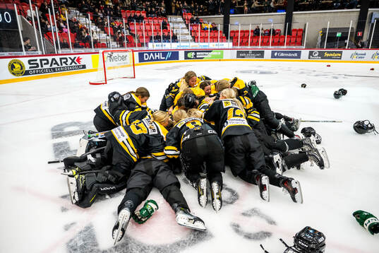 Värmlands spelare jublar