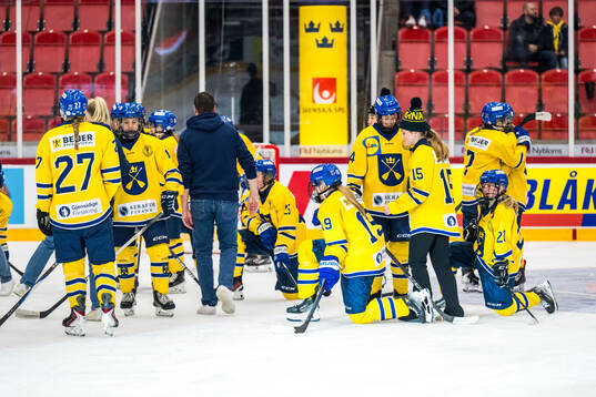 Dalarnas spelare deppar