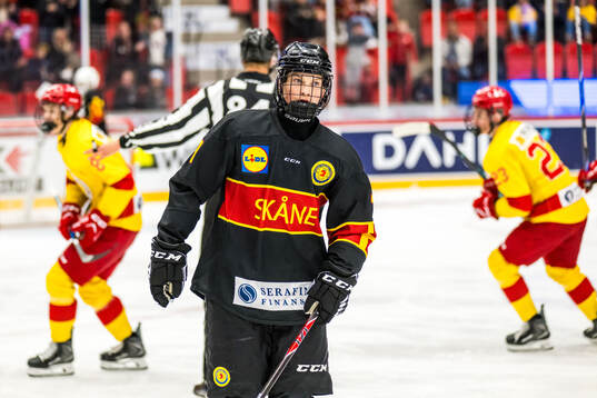 Skånes Ville Biveus Björk deppar