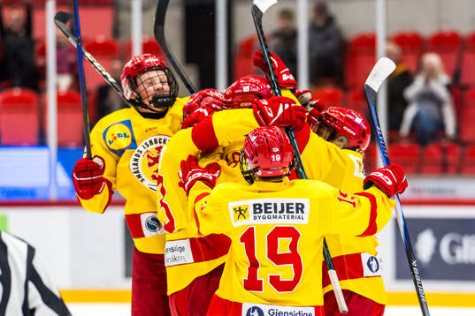 Smålands spelare jublar