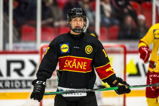 Skånes Elias Malashkoff deppar
