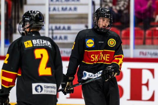 Skånes Karol Ostafin deppar
